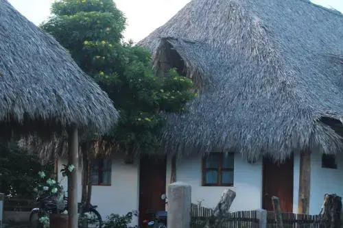 Wild Waves Surf-House