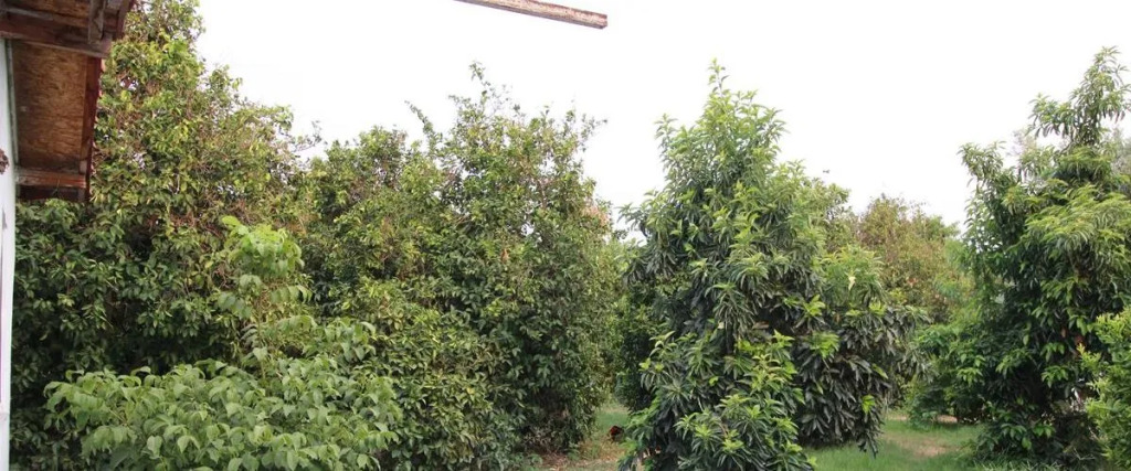 Gold Altınkaya Camping