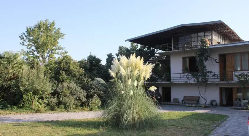 In The Heart Of Kvareli