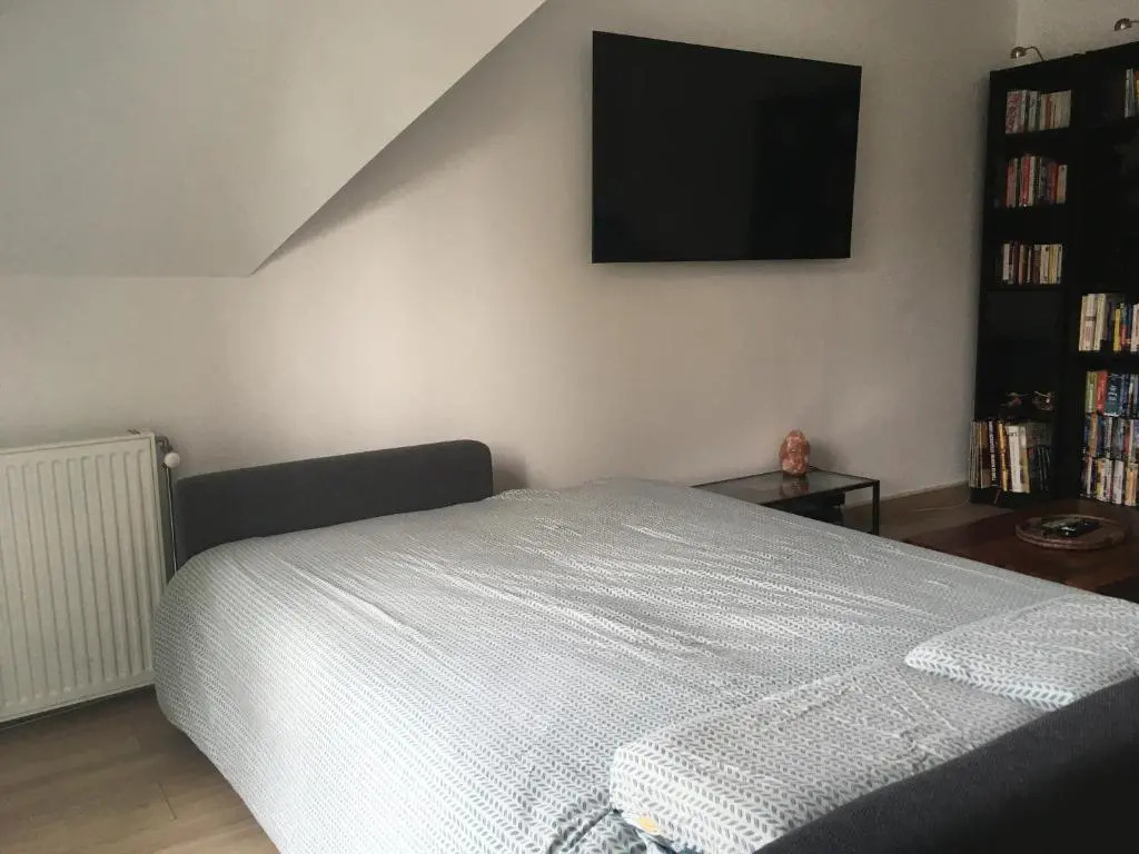 Comfy flat 7 min away from Disney