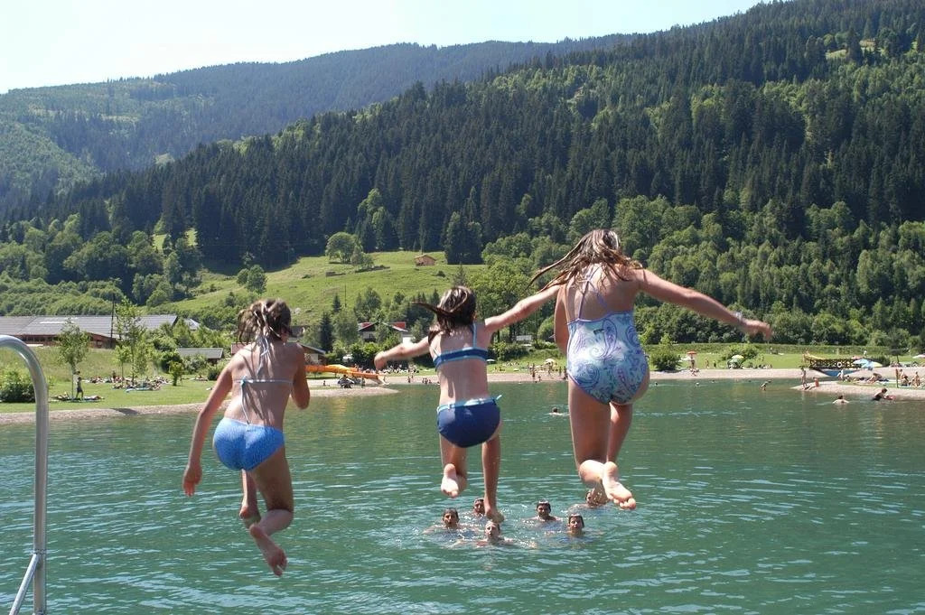 Haus Dachstein Schnitzer