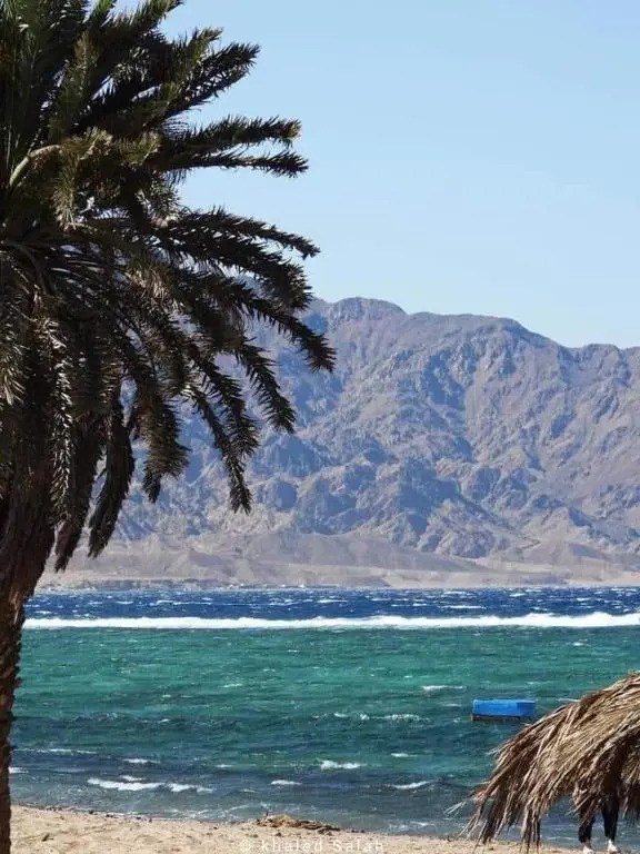 Zarnouk beach house