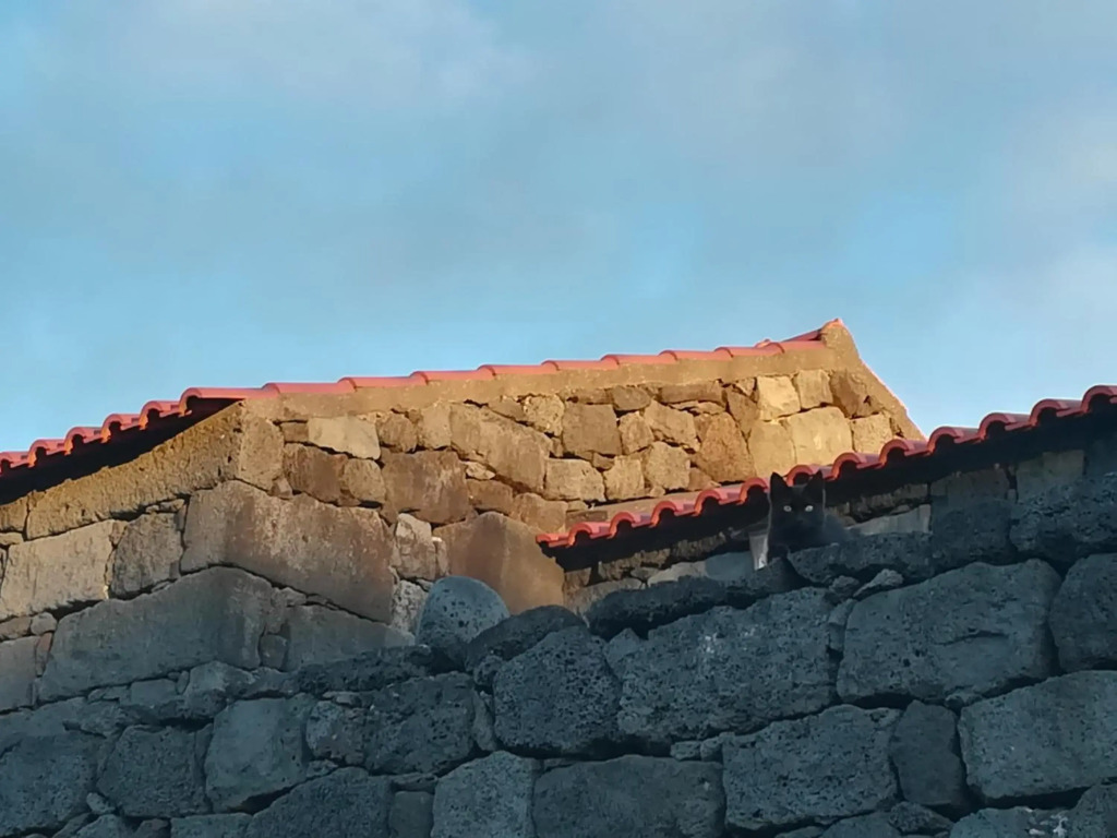 A Casa da Formosinha