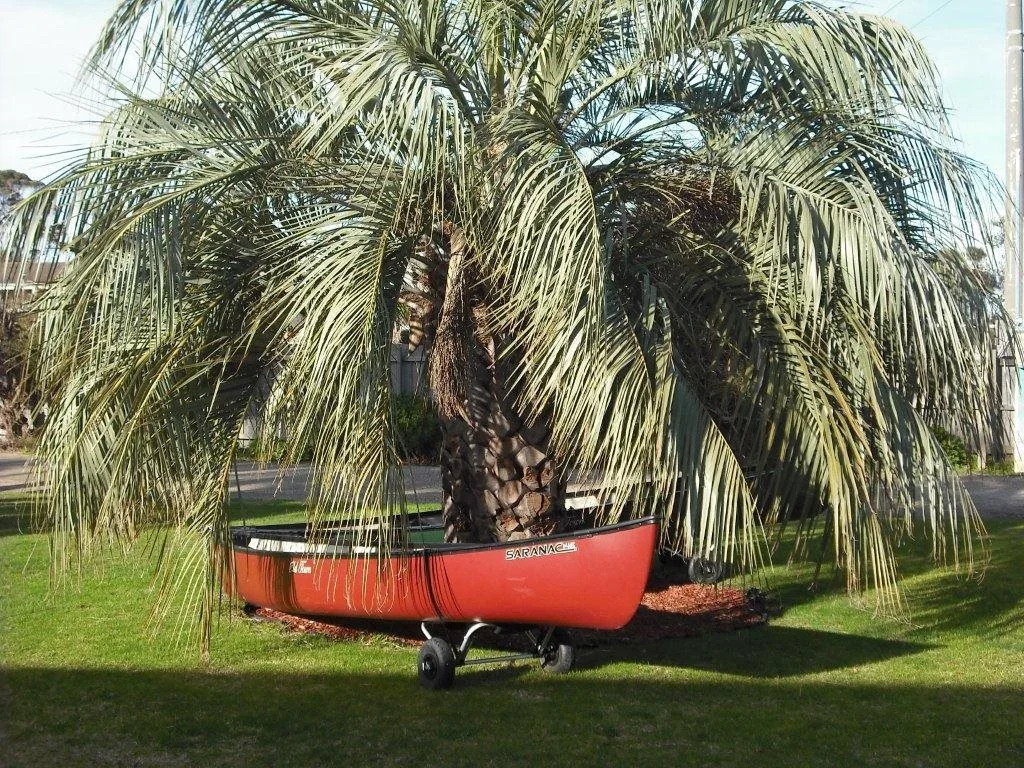 The Beaches on Lakes Cottage - Cosy Coastal Escape