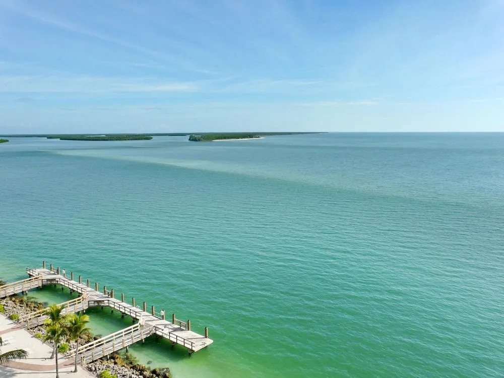 Top Floor Beachfront Condo With Ocean Views/pool/spa