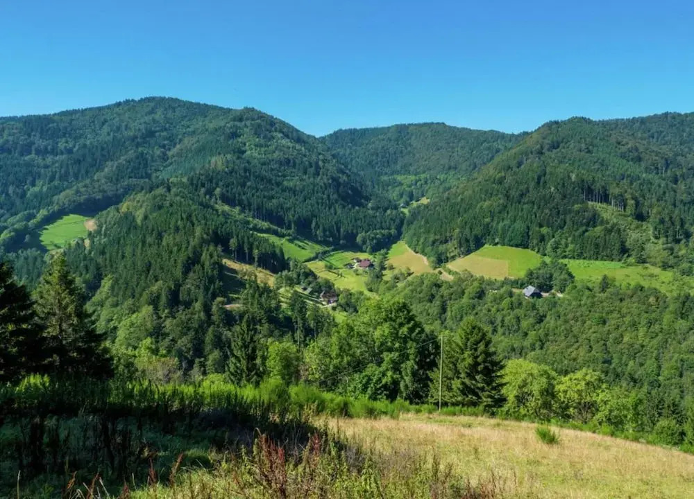 Ferienwohnung, Furtwangen