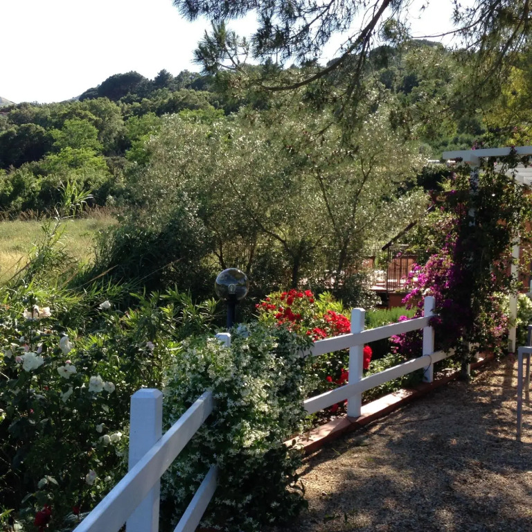 Hotel Etrusco