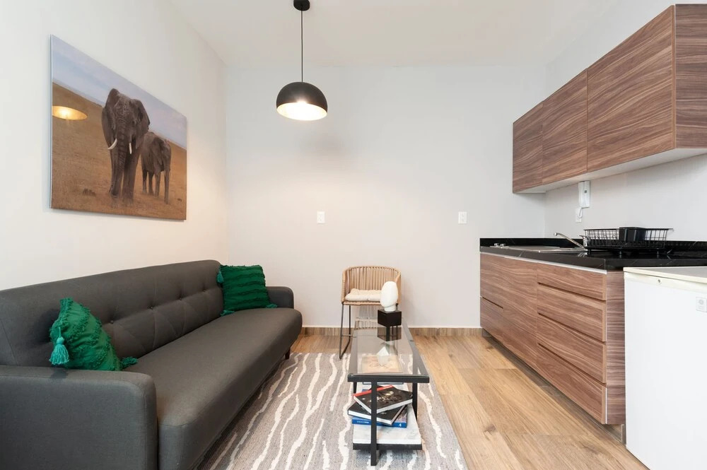Comfort Apartment With Terrace at Condesa