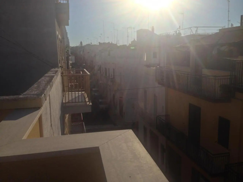 Via Roma 224