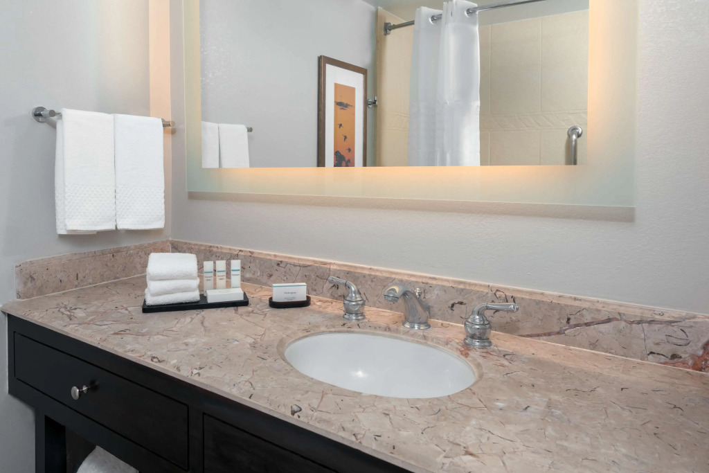 Embassy Suites Dallas - Park Central Area