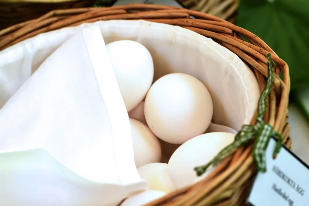 Thorskogs Slott