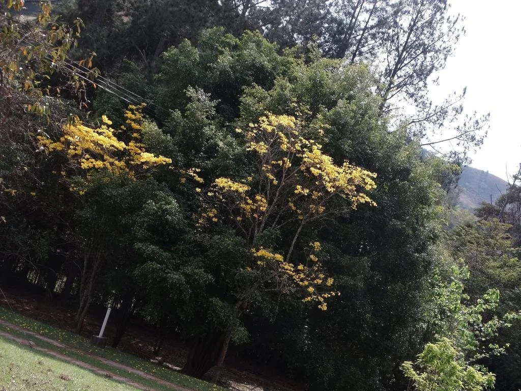 Pousada Cantao