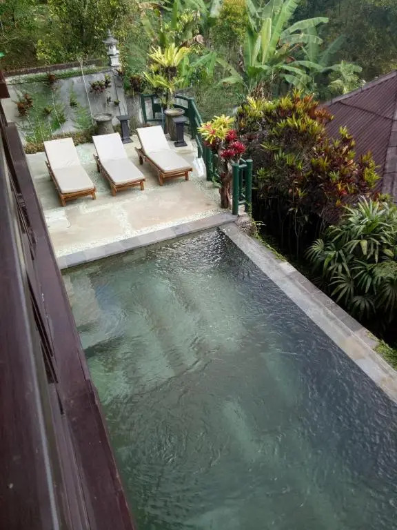 BINTANG MUNDUK