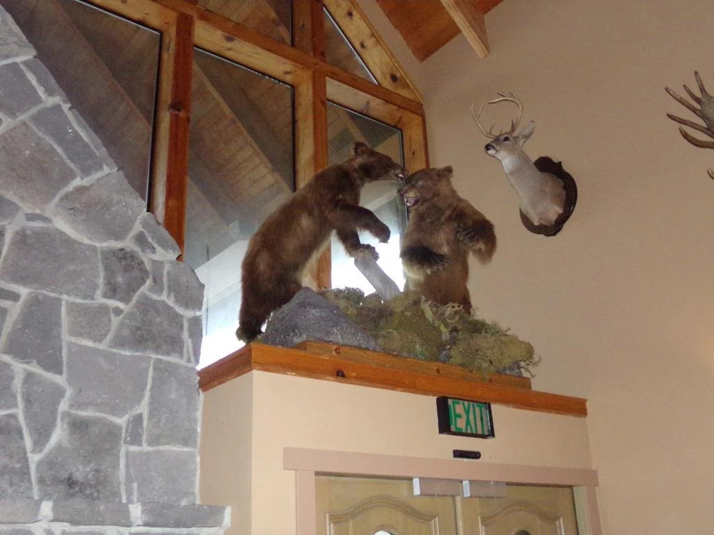 Cowlitz River Lodge