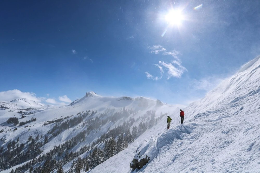 R214 Timber Ridge