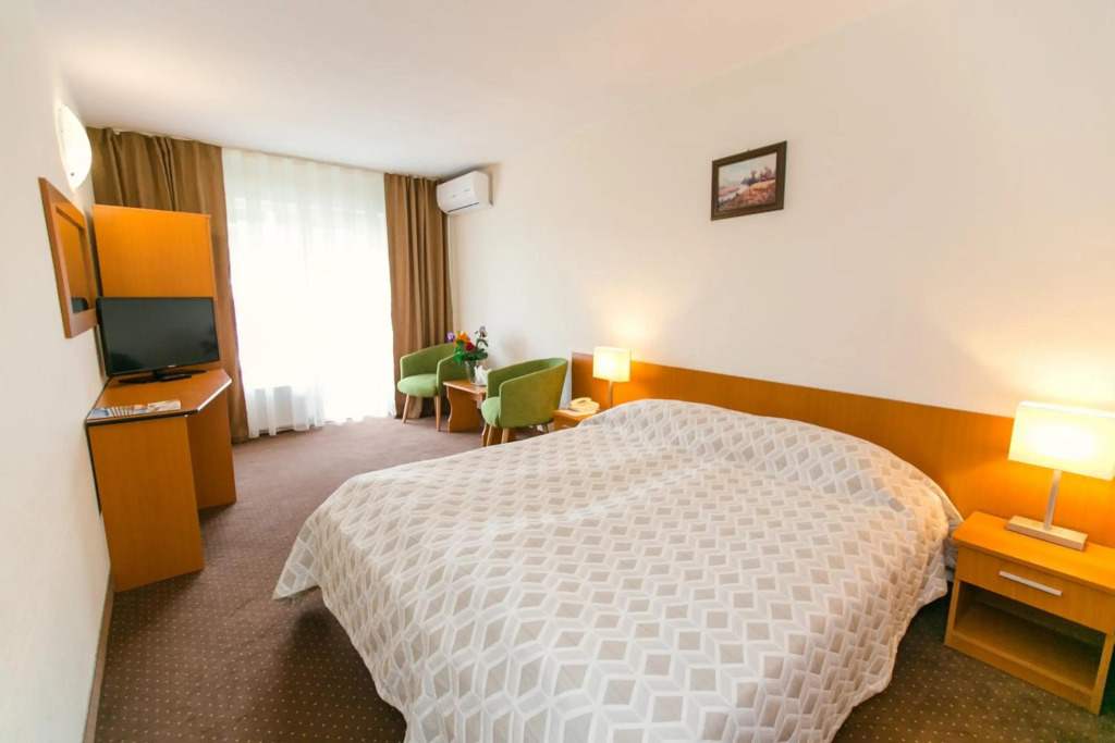 Hotel Poienița