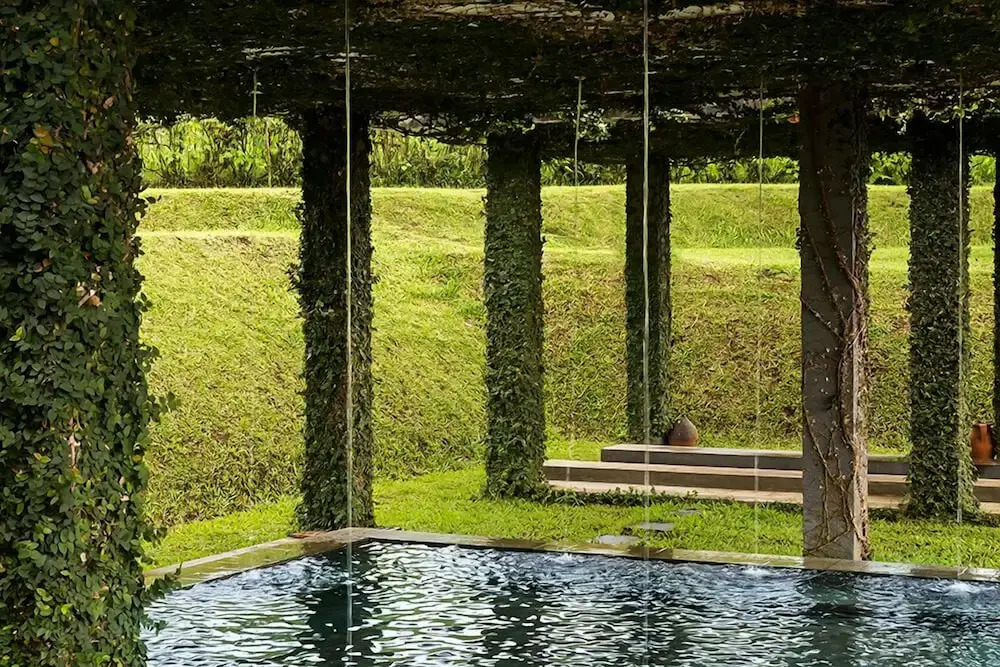 Tea Garden Resort