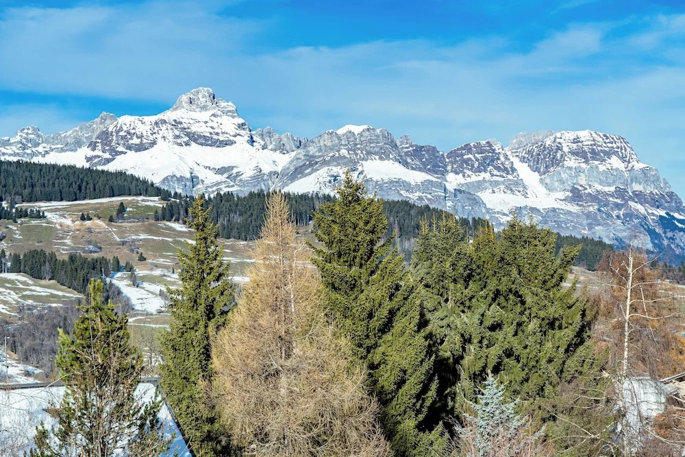 Modern Apartment Ski-in - Mont Darbois With View