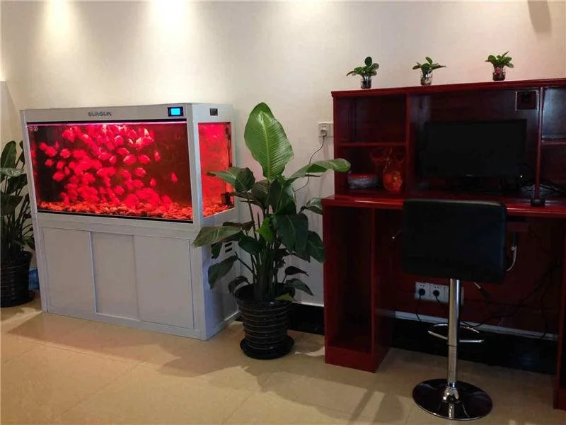 GreenTree Inn Shanghai Pudong Airport Huaxia East Road Express Hotel