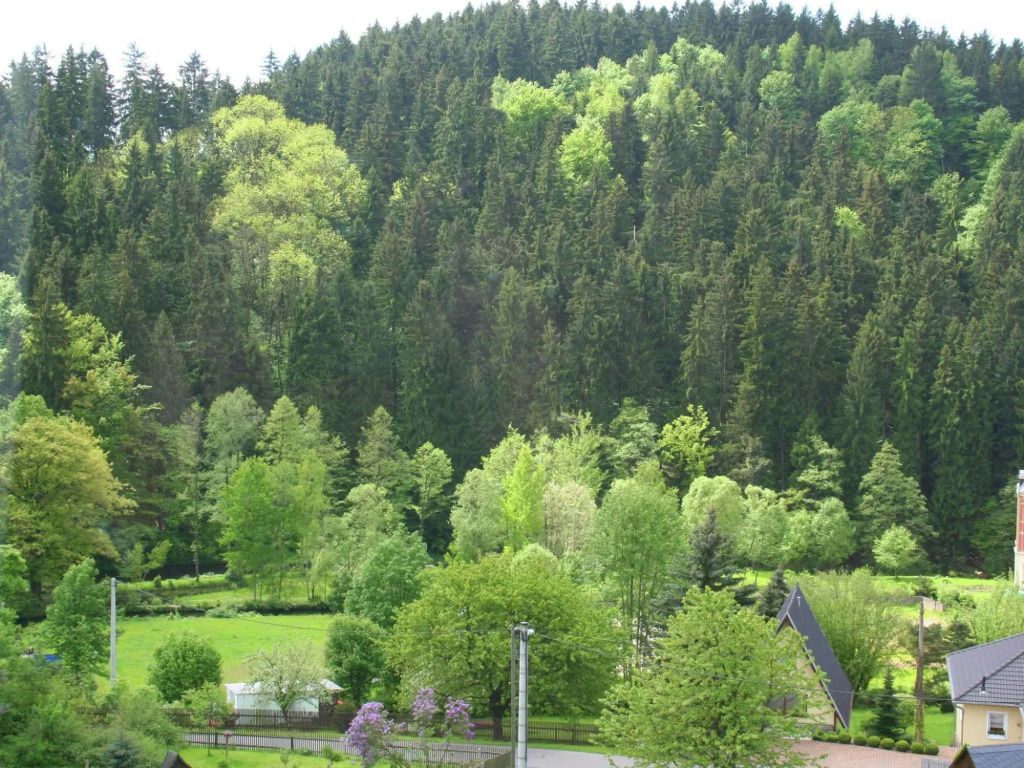 Villa in Borstendorf nahe Erzgebirge