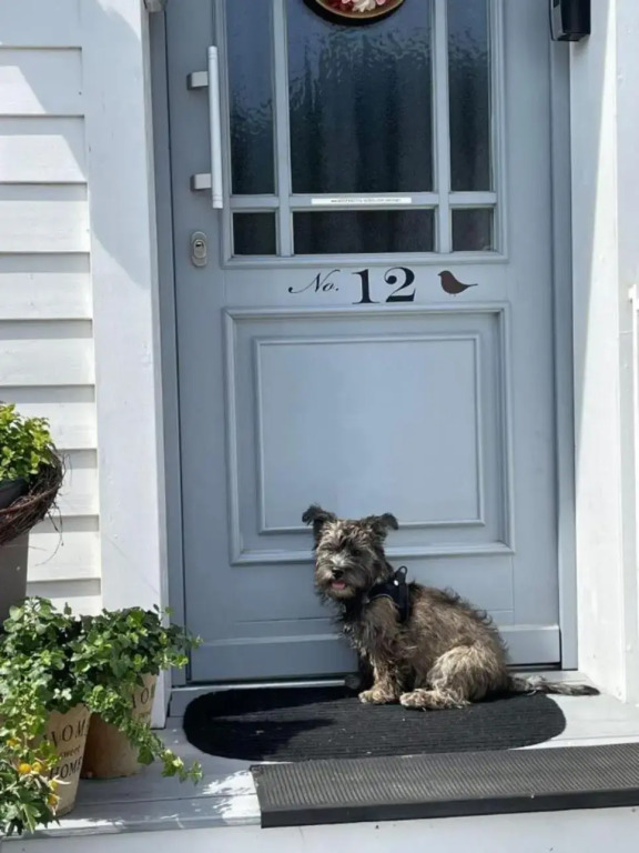 Saarlouis, Ortsteil Beaumarais "Anna's Cottage"Bed&Breakfast "#TravellerAwards2021"