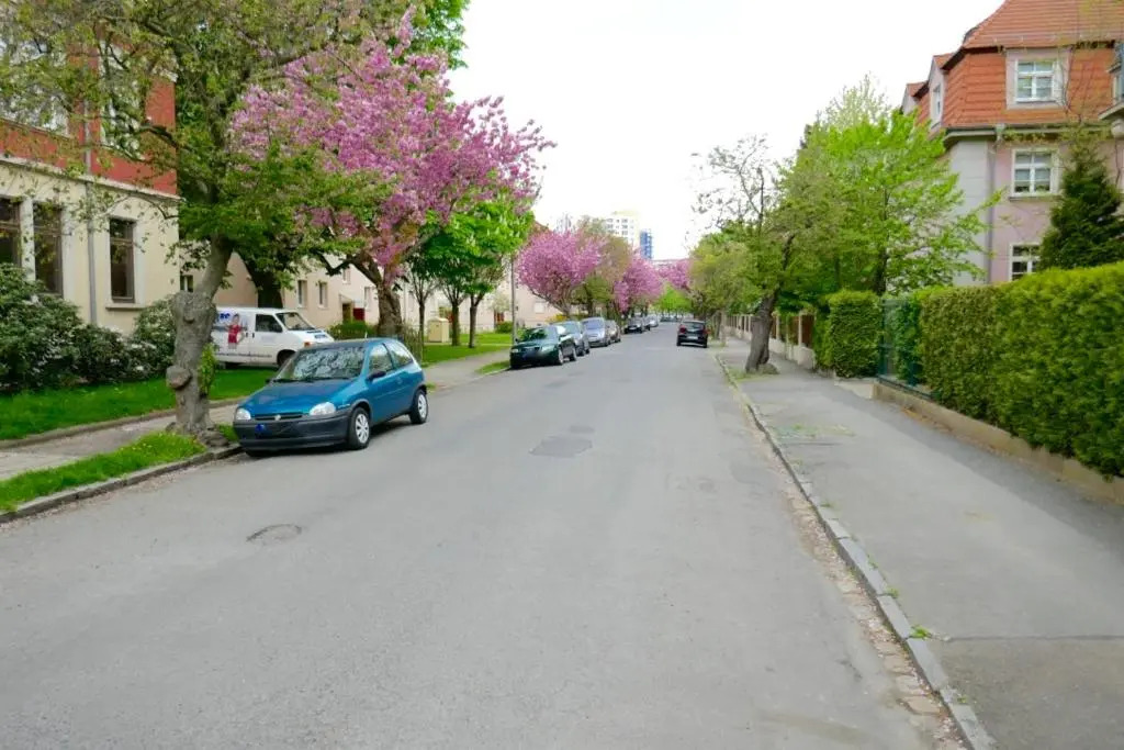 Apartment Zschachwitz