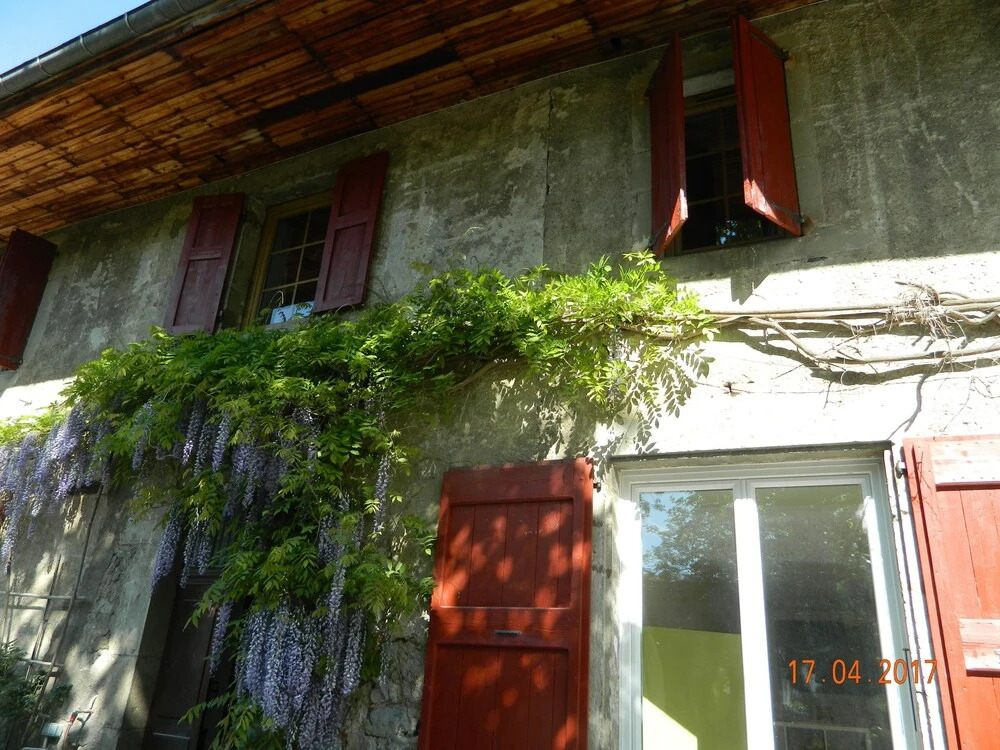 Cottage Carlina