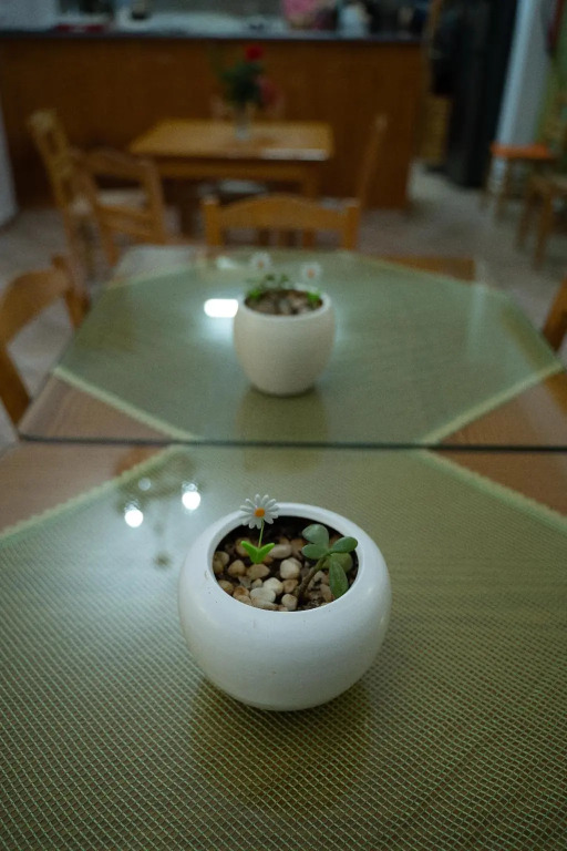 Dimitris Villa Hotel
