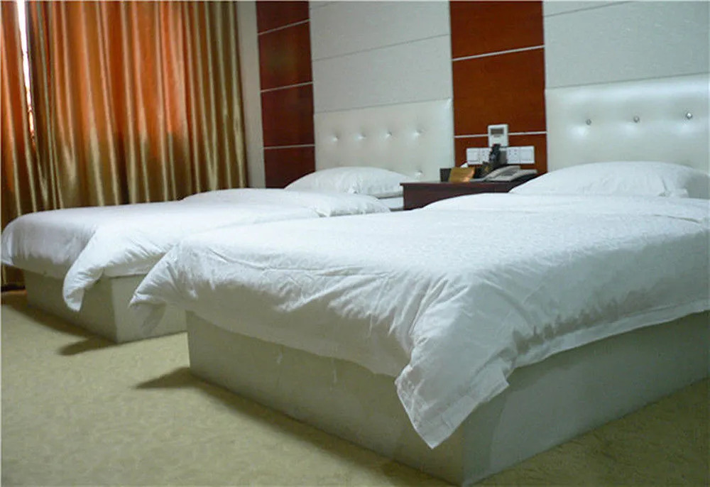 Borrman Hotel Qingyuan Fogang Bus Station