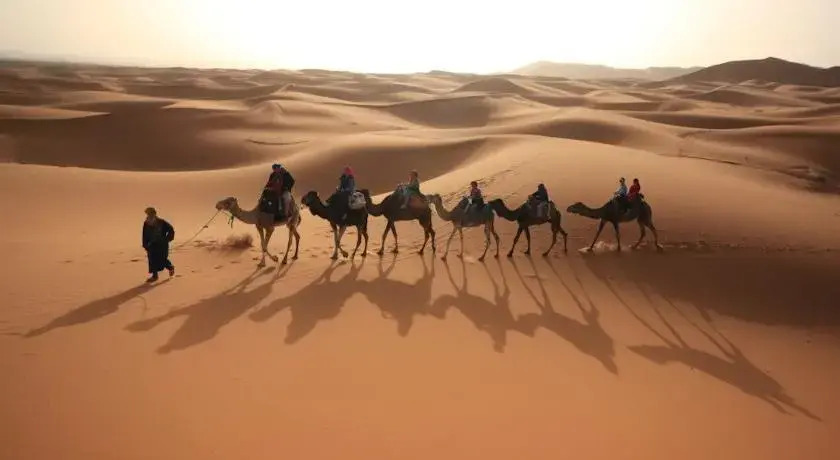 Bivouac Erg Chebbi