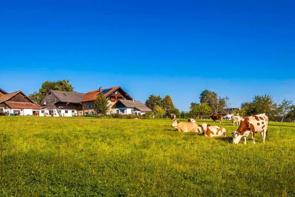 Baby- und Kinderhof Aicherbauer
