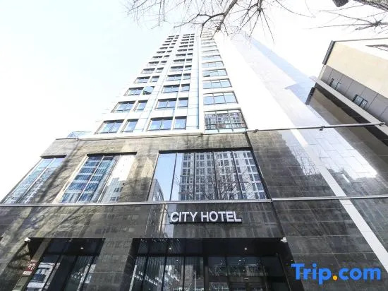 City Hotel the Busan Metro