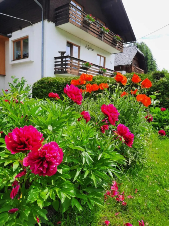 Haus Alpina