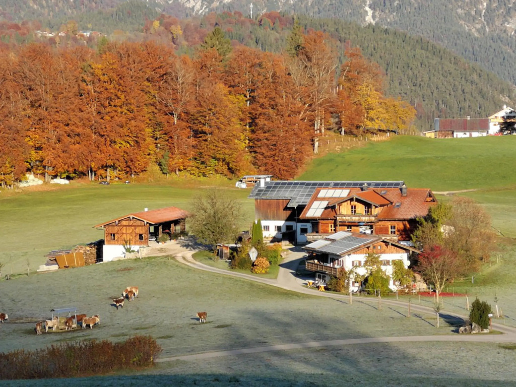 Oberreitlehen