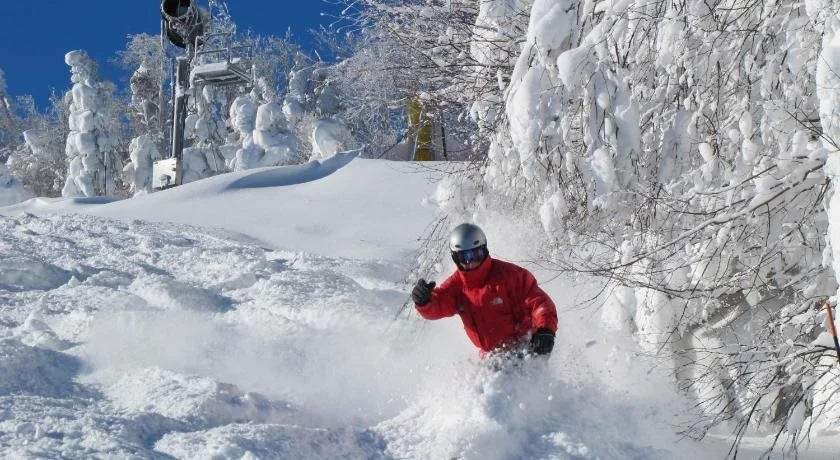 Snowcrest