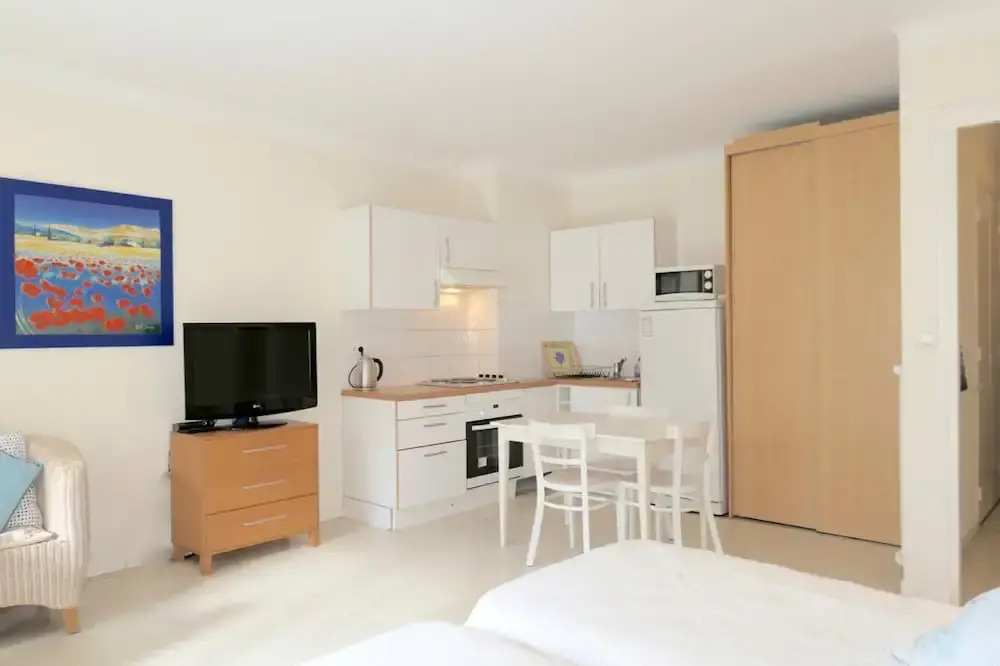 Large Studio apt for 2 With Balcony Walking Distance Croisette - 1977