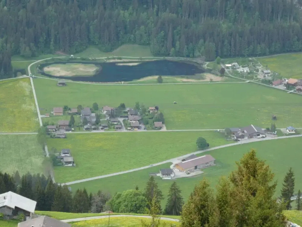 Charming Apartment in Lenk