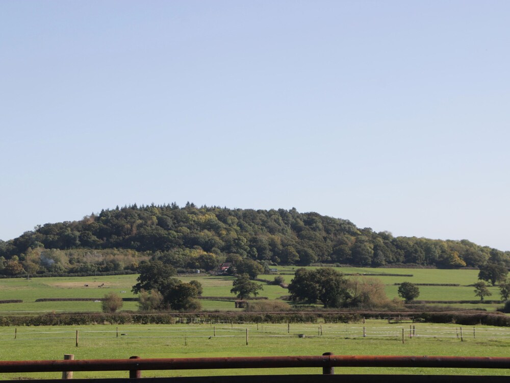 Leadon View Oak