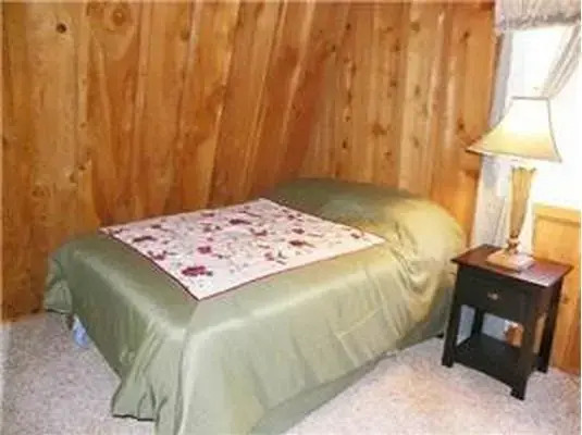 Bear Necessity by Big Bear Cool Cabins