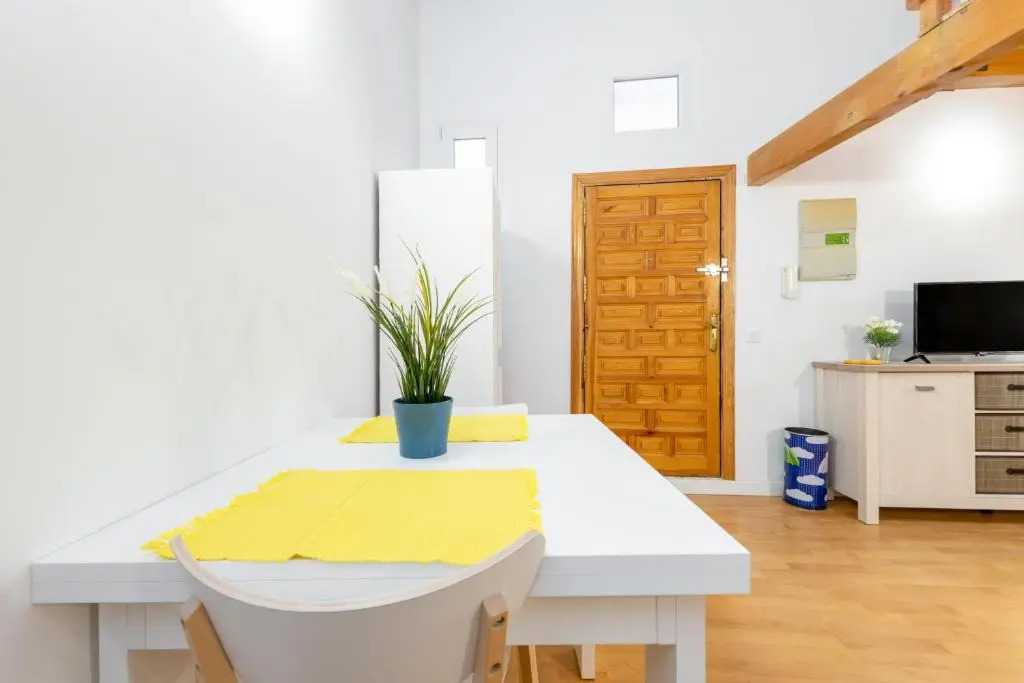Duplex Lavapies 1BD