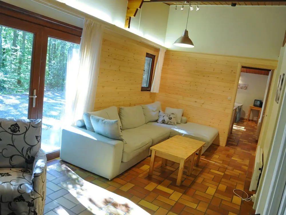 Wooden Chalet With Stove and Microwave Located in the Forest