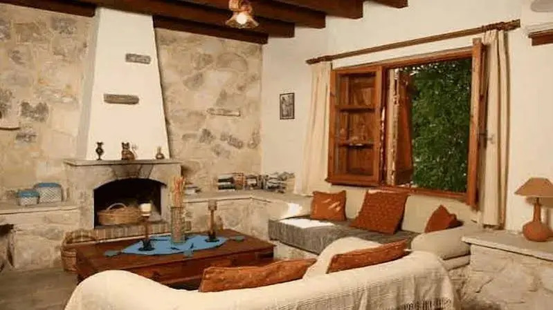 Villa Vineyard