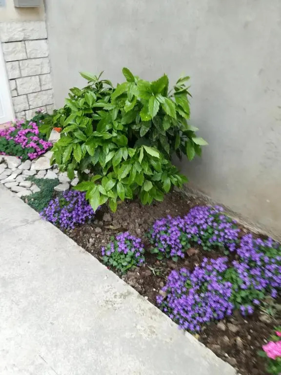 Apartment Visoka
