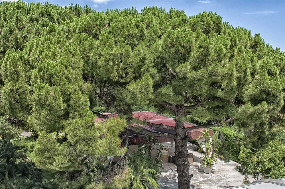 Garden Hotel
