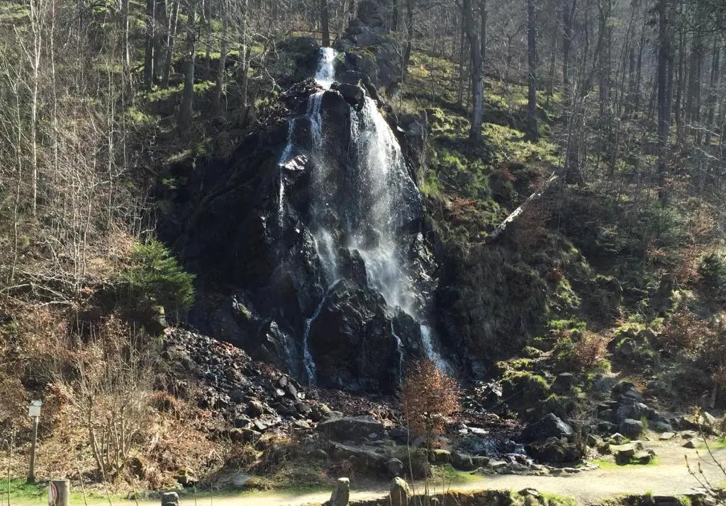Hexe I - mit Blick auf den Wurmberg