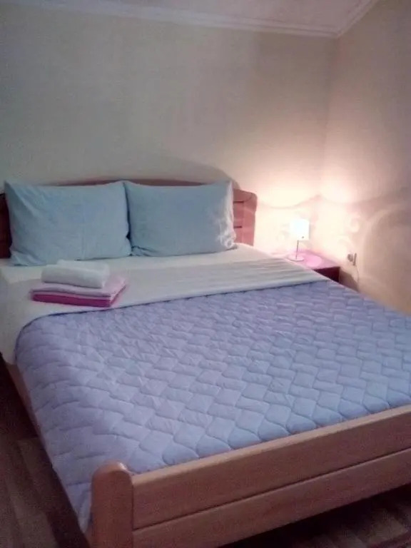 Guest house Ruza