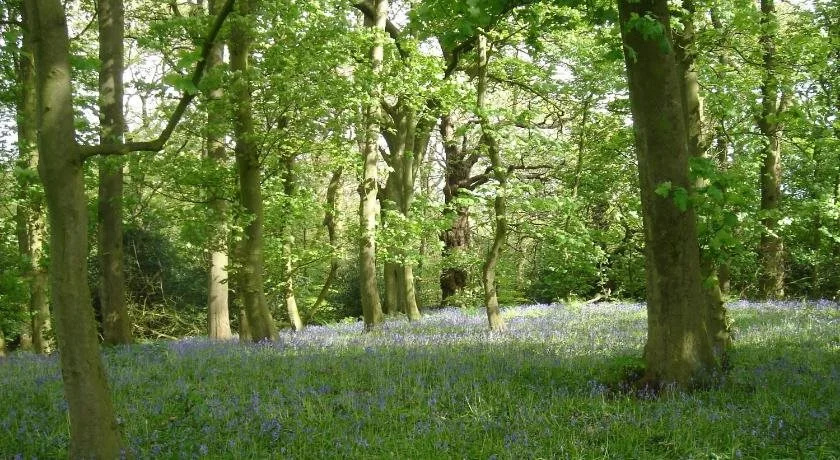 Yew Tree Farm