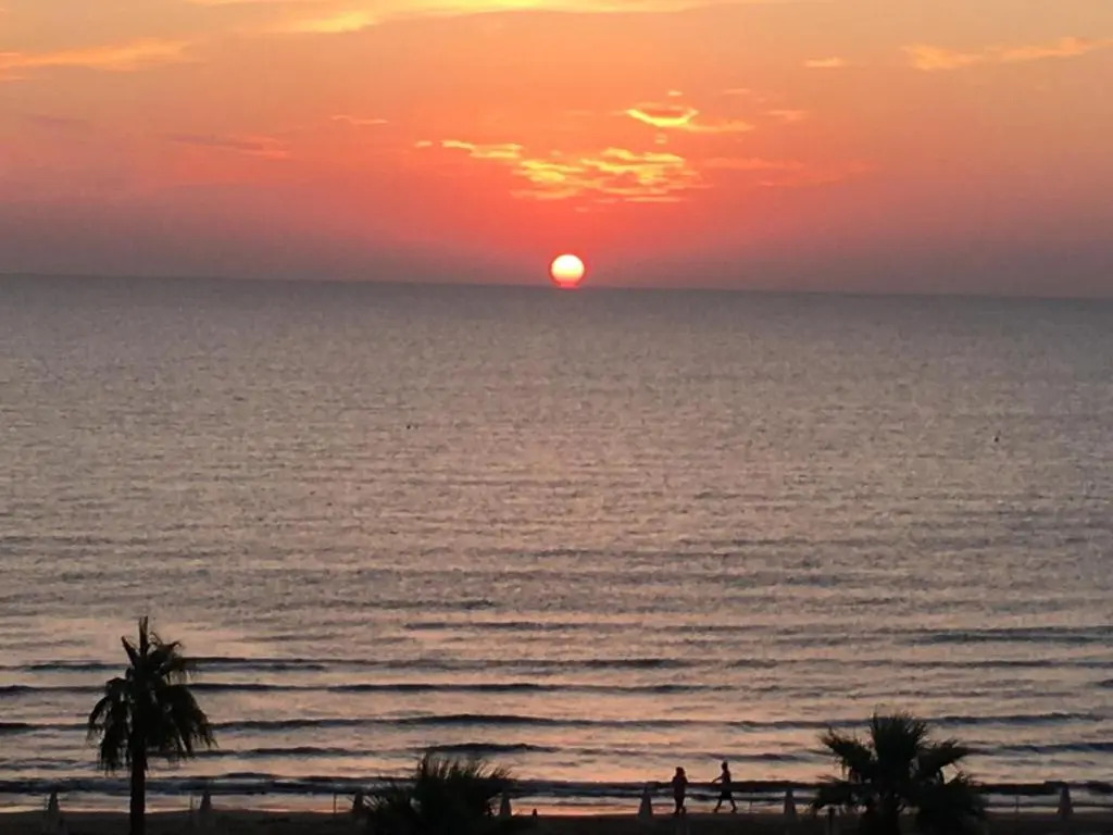 Alex Beach Apartment 32