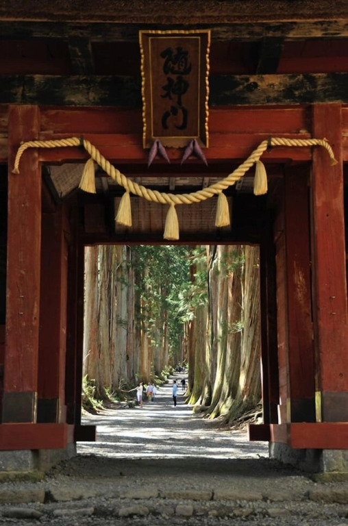 Myoko Forest Lodge