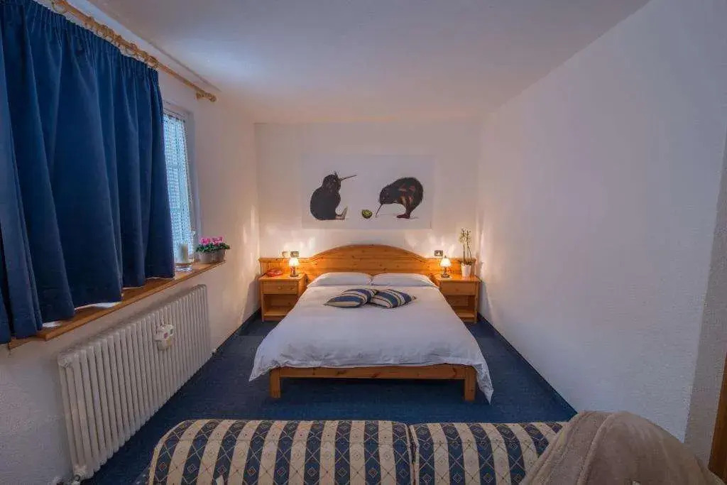 Sport Hotel Alpina